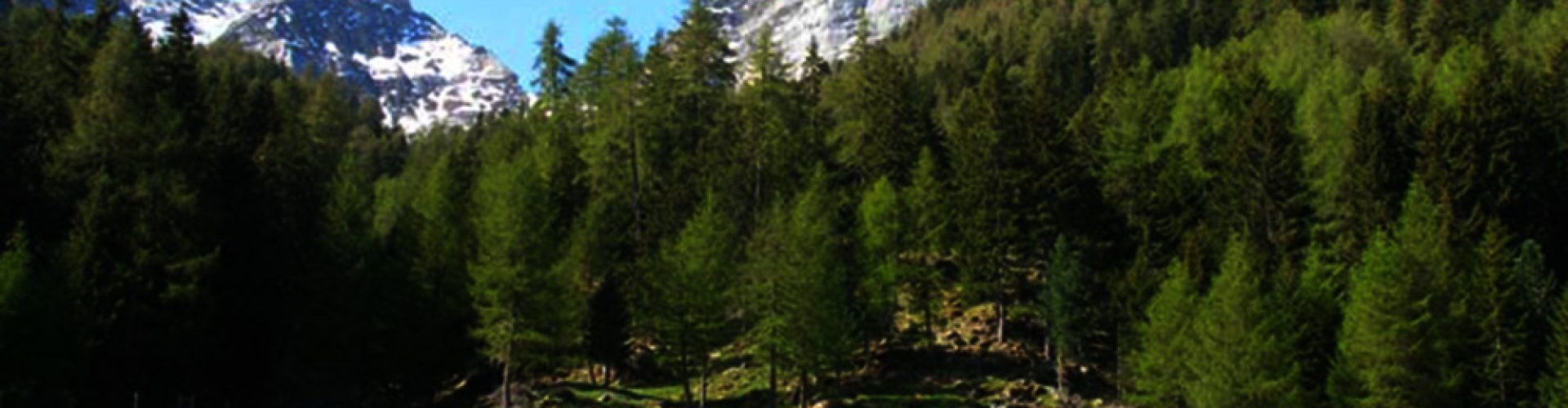 kleinalm